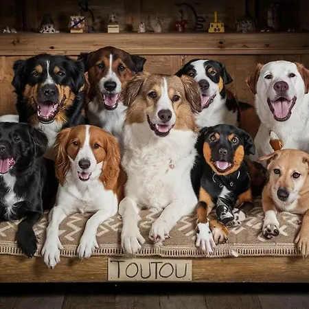 Tatil Evi Les De La Vallee Du Ceou